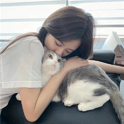 你好,树公主